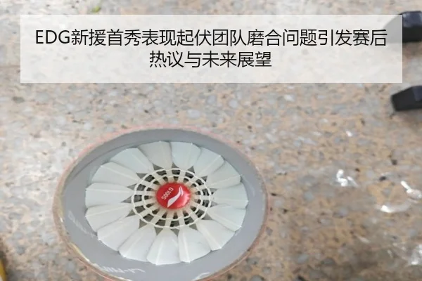 EDG新援首秀表现起伏团队磨合问题引发赛后热议与未来展望
